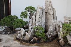 several bonsai trees and rocks in front of a building with a door on the side