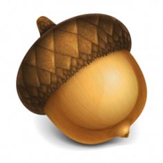 an acorn is shown on a white background