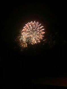 fireworks are lit up in the night sky