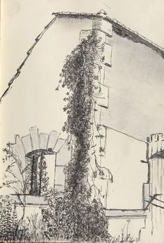 a drawing of a building with vines growing on it