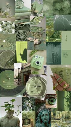 the collage shows many different green things