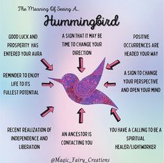 the meaning of an hummingbird