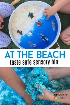 kids playing at the beach with their hands in a blue bowl filled with sand and sea animals