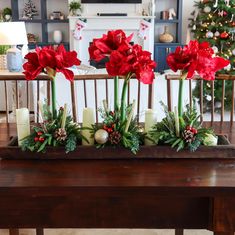 red flowers and greenery sit on a wooden tray in front of a christmas tree