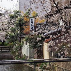 Japan City, Japanese Countryside, Blossom Cherry, Go To Japan, Japan Aesthetic, Aesthetic Japan, Korean Aesthetic, Japanese Aesthetic, Cinematic Photography