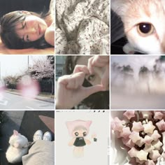 a collage of pictures with cats, flowers, and other things to see on the internet