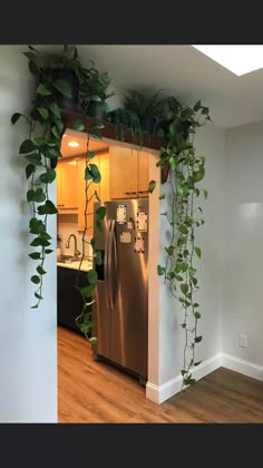 a kitchen with a refrigerator covered in plants