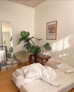 an unmade bed sitting on top of a hard wood floor next to a plant