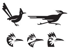 the silhouettes of birds with different beaks