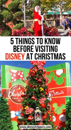 a christmas tree with the words 5 things to know before visiting disney at christmas