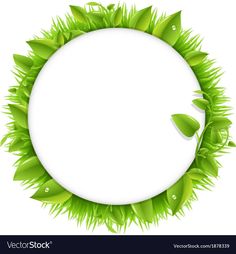 a round frame with green leaves and water drops on white background for your text or image