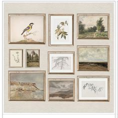 a bunch of pictures hanging on the wall with birds and trees around them in different frames