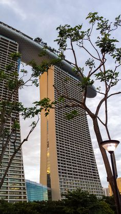 two tall buildings with trees in the foreground and a street light on the other side