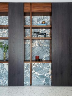 an open bookcase with marbled walls and wooden shelves in the center, along with two vases on either side