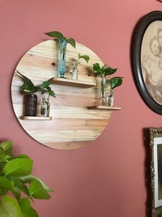 a wooden shelf with plants on it next to a pink wall and framed pictures hanging on the wall