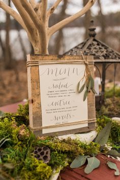 a menu is set up on a table with moss