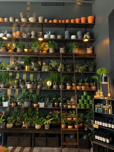 a room filled with lots of potted plants next to shelves full of wine bottles