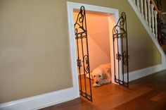 a white dog laying in an open door on the floor next to a stair case