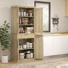 an open cabinet in a kitchen next to a potted plant