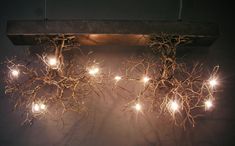 two branches with lights hanging from them against a black wall in front of a dark background