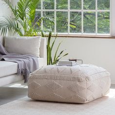 a living room filled with furniture and a plant in front of a window on top of a rug