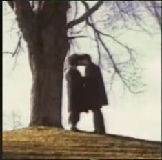 a man standing next to a tree on top of a hill