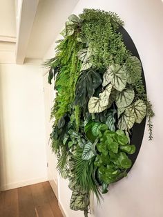 a clock made out of plants on the wall next to a wooden floor and white walls