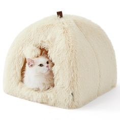 a small white kitten sitting inside of a fluffy cat bed with fur on it's sides