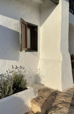 a white building with two plants in front of it and a window on the side