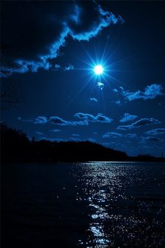 the bird is flying over the water at night with the moon in the sky above it