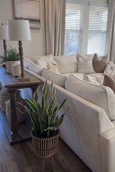 a living room with white couches and pillows on the walls, wooden flooring