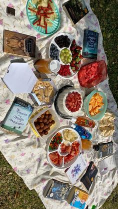 a picnic blanket is laid out on the grass with food and snacks spread out around it