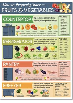 an info poster showing how to properly store fruits and vegetables