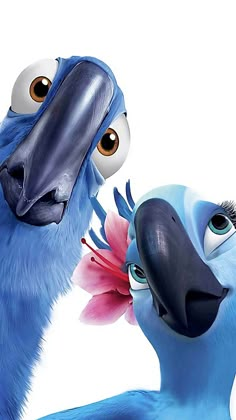 two blue birds are facing each other and one is staring at the other bird's face