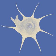 an image of a white cell on a blue background