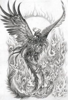 a black and white drawing of a bird on fire