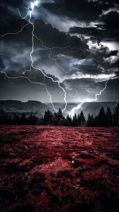 a field with red grass and lightning in the sky above it on a cloudy day