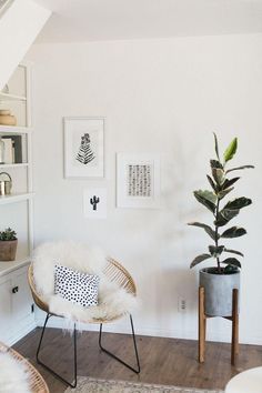 a room with a chair, potted plant and pictures on the wall