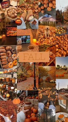 a collage of photos with pumpkins and other things