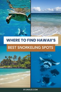 the best snorkeling spots in hawaii, where to find them and what to do