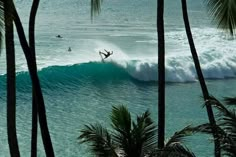 two surfers are riding the waves on their surfboards in the ocean near palm trees