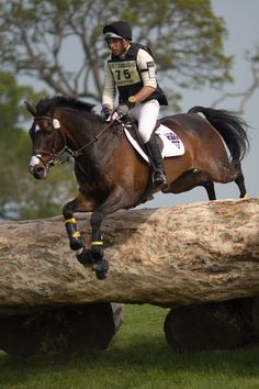 a person on a horse jumping over a log