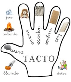 a hand with words written in different languages