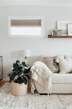 a living room with a white couch and potted plant on the floor next to it