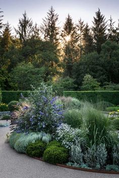 a circular garden with lots of plants and trees in the background, surrounded by hedges