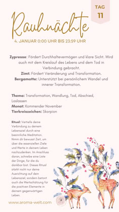 Im kommenden November erlebe die 11. Rauhnacht mit Zypresse, Zimt & Bergamotte. Fördere Durchhaltevermögen, Veränderung und persönlichen Wandel. Im Zeichen des Skorpions tauche ein in die Themen Transformation, Wandlung, Tod und Loslassen. Erfahre die tiefe Magie des Lebenskreislaufs. 🍂🔮 #Rauhnacht #Transformation #Skorpion Wild Woman, November 11, Doterra, Yule, Meditation