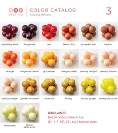 the color catalog for different types of candys and candies, including chocolate eggs