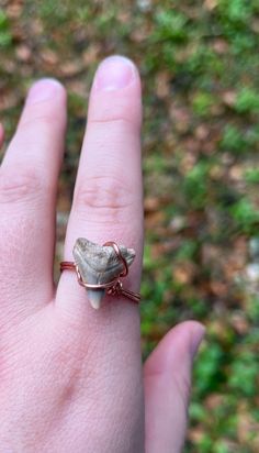 Raw copper shark tooth ring. Tooth was hand collected from Charleston, SC. Shark teeth represent strength. Raw copper is a warming and energizing metal. Raw copper shines up from the natural oils on your fingers. Ring is a size 10 and can be tightened into any size smaller. No sharks were hurt in the making of this ring, sharks loose their teeth naturally throughout their lives. Shark Tooth Ring, Tooth Ring, Snow Quartz, Shark Tooth Necklace, Tooth Necklace, Shark Tooth, Shark Teeth, Ring Style, Quartz Earrings