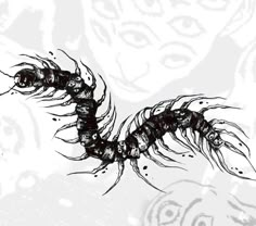 a black and white drawing of a scorpion