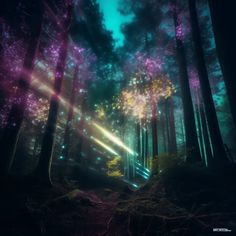 a forest filled with lots of trees covered in colorful lights and flares on the ground